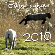 Carte de voeux : Pour être heureux