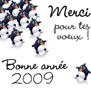 Carte de voeux : Depuis la banquise