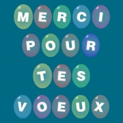 Carte de voeux : Merci pour tes v�ux