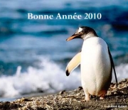 Carte de voeux : Une année commence