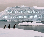 Carte de voeux : V�ux glac&eacute;s