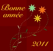 Carte de voeux : Des fleurs pour la nouvelle année