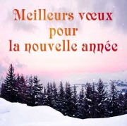 Carte de voeux : Meilleurs v�ux pour la nouvelle ann&eacute;e
