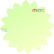 Carte de voeux : Merci, thank you, gracias...