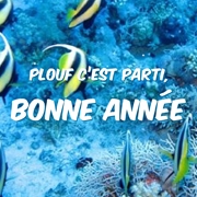 Carte de voeux : Nage dans le bonheur