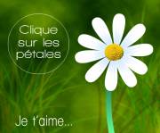 Carte de voeux : Je t'aime un peu, beaucoup...
