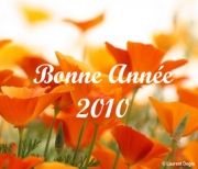 Carte de voeux : Une année va éclore