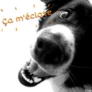 Carte de voeux : Ça m'éclate