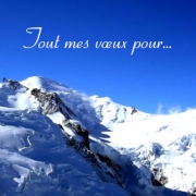Carte de voeux : Tous mes vux