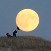 Carte de voeux : Décrocher la lune