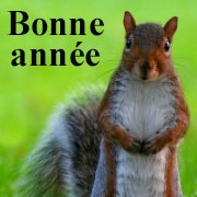 Carte de voeux : la paix est fragile