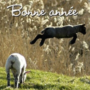 Carte de voeux : Pour être heureux