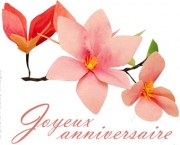 Carte de voeux : Quelques fleurs