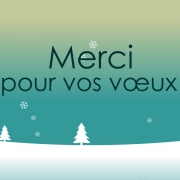 Carte de voeux : Merci pour vos vux
