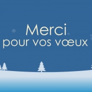 carte de remerciement voeux 2017 😛