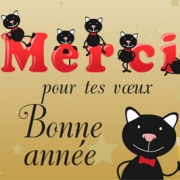 Carte de voeux : Chats alors ! Merci !
